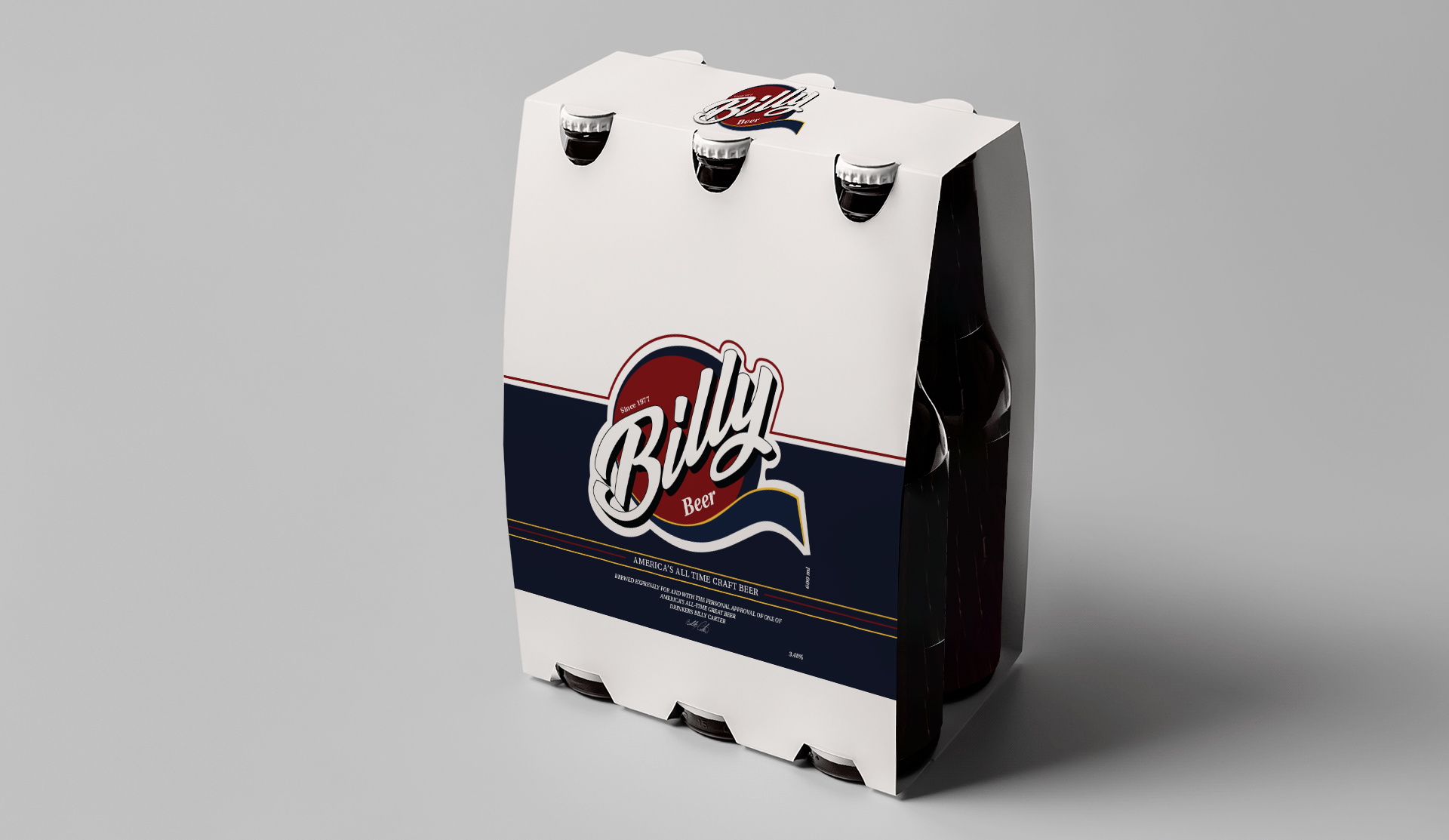 Project preview image 3