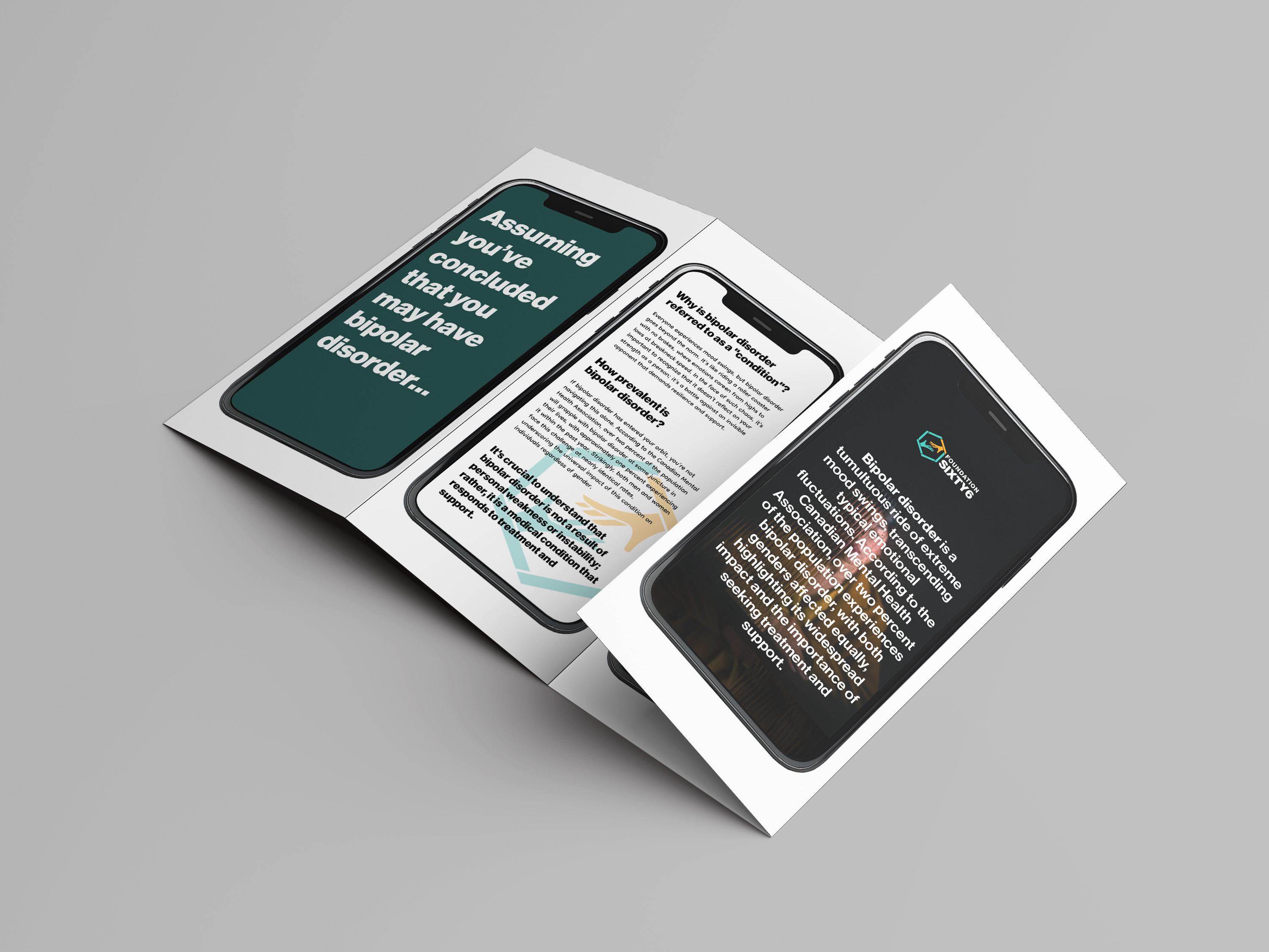 Project mockup image 3